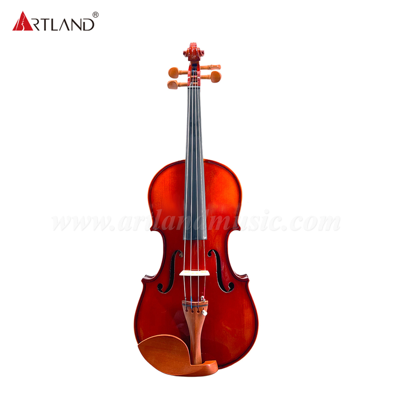 Poluar Solid Violins Outfit für Anfänger (GV103F)