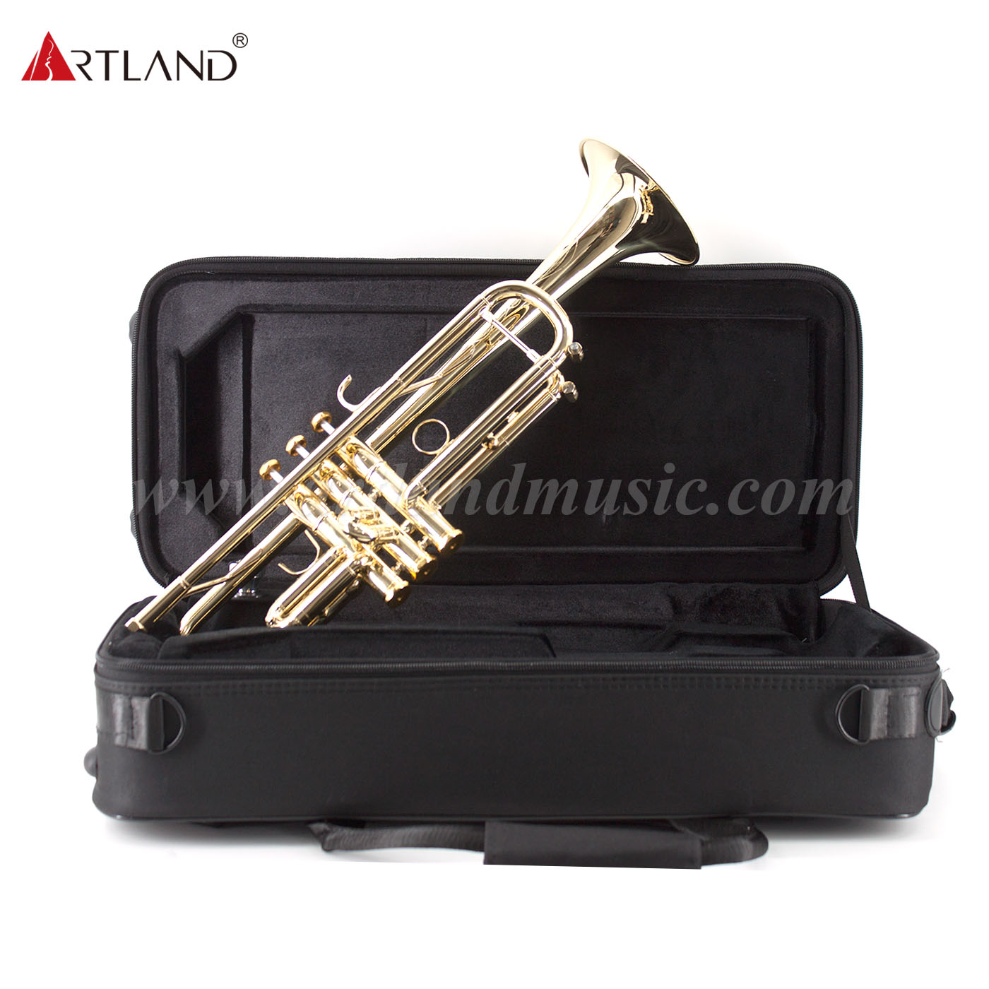 Professionelles Blechblasinstrument, Trompete aus massivem Gelbmessing mit Koffer (ATR8800)