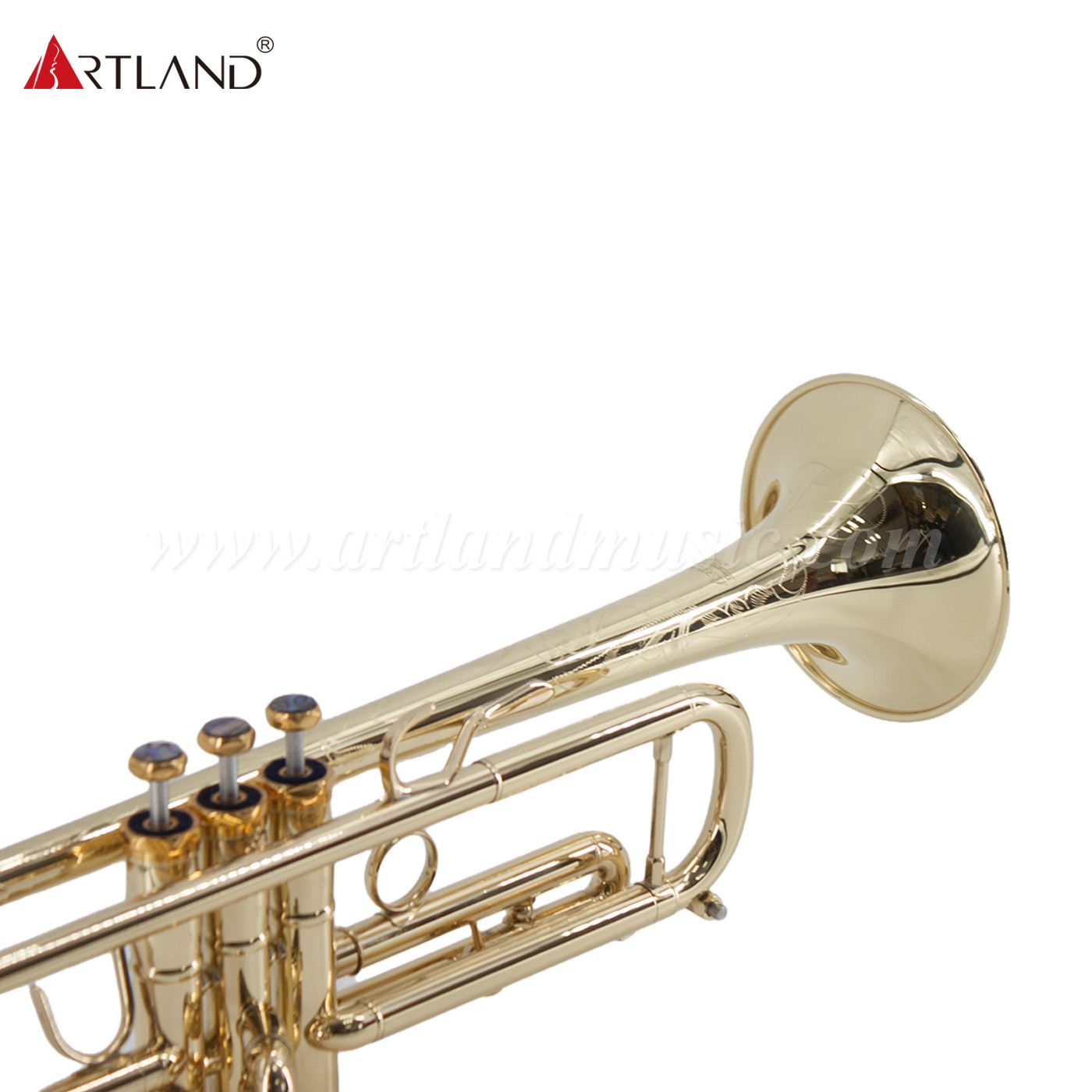 Professionelles Blechblasinstrument, Trompete aus massivem Gelbmessing mit Koffer (ATR8800)