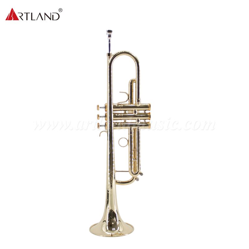 Professionelles Blechblasinstrument, Trompete aus massivem Gelbmessing mit Koffer (ATR8800)