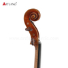 Professionelle handgefertigte Viola (PA100) von hoher Qualität 