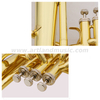 Goldlackiertes Althorn AAH1300