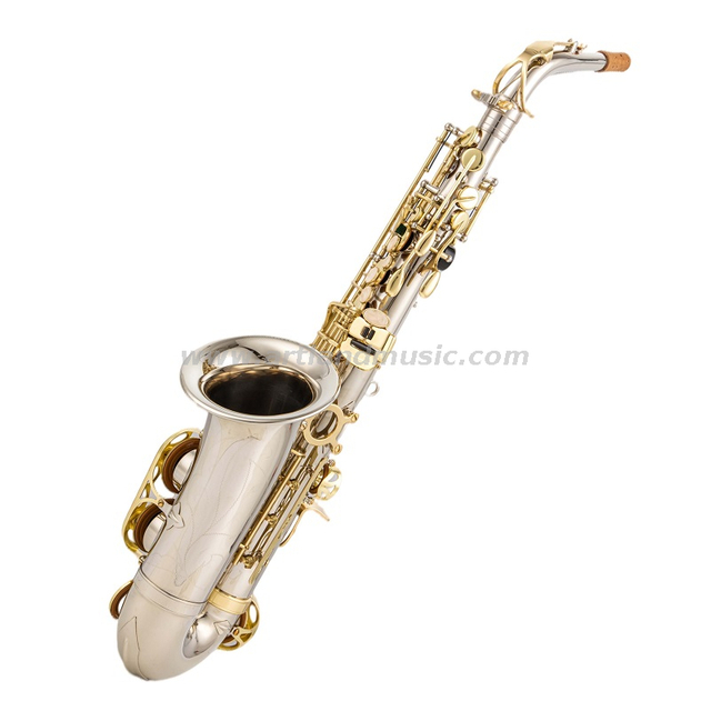 Eb-Altsaxophon, Nickelkörper mit handgraviertem Korpus und goldener Lackklappe (AAS5505NL)
