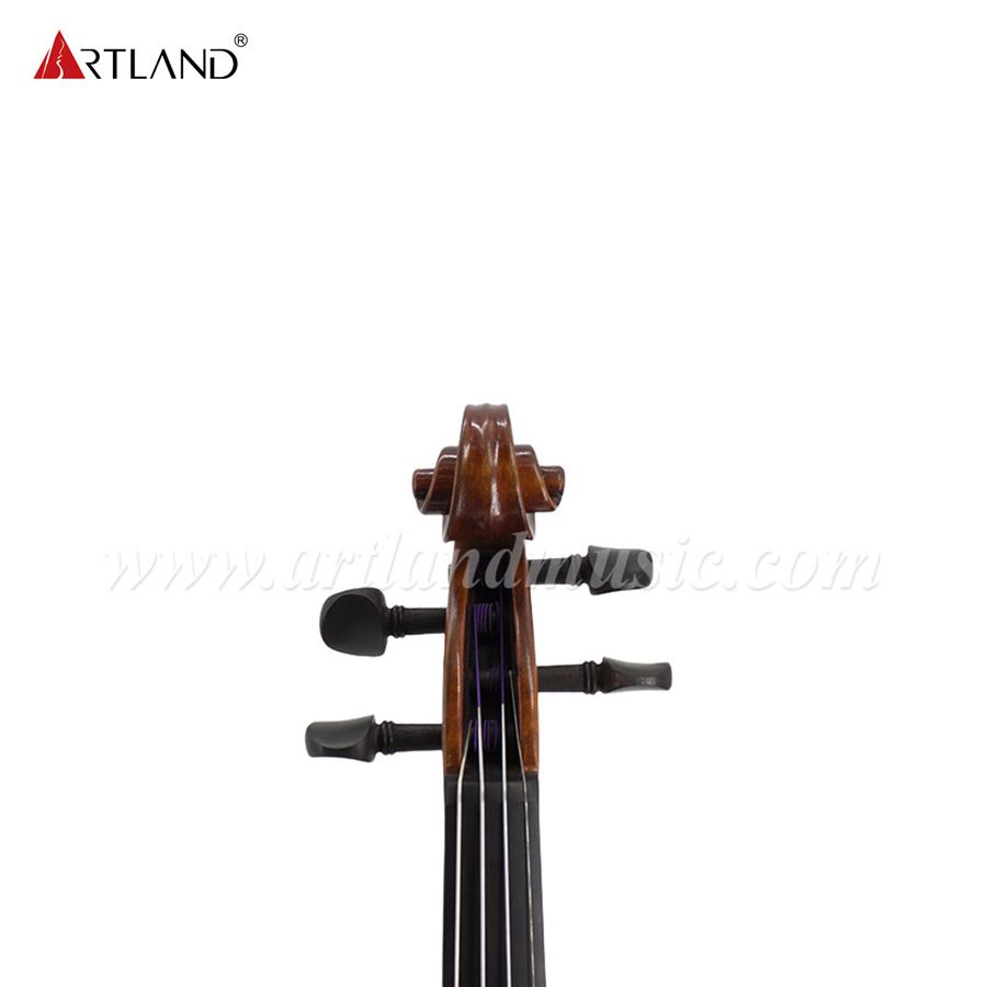 Europäische handgefertigte Violine hoher Qualität (PVE200)