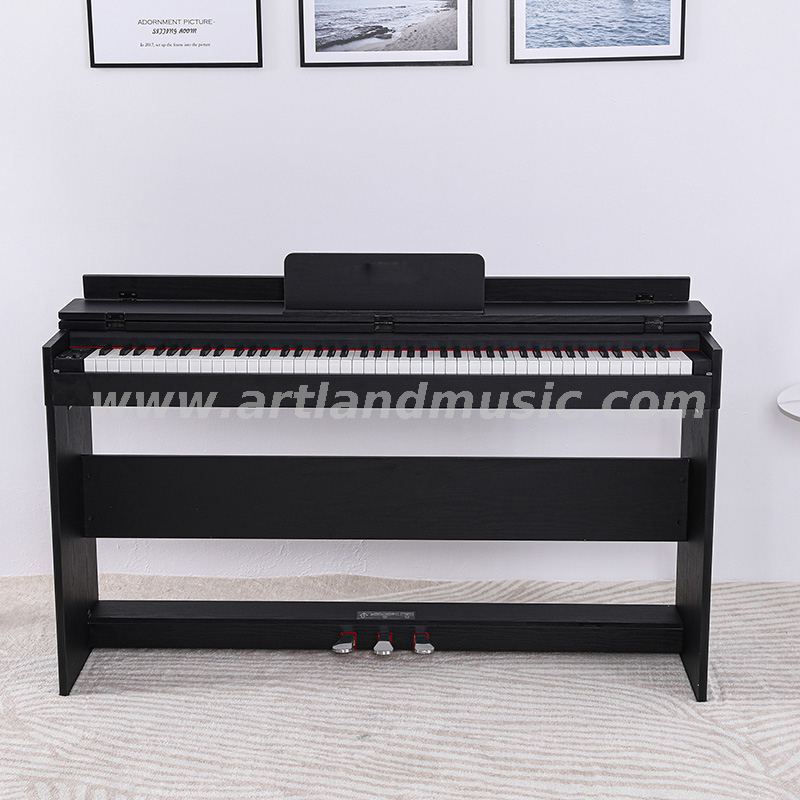 480 Arten Timbre 88 Ke Full Conterweight Keyboard Digital Piano (ATP8813) 