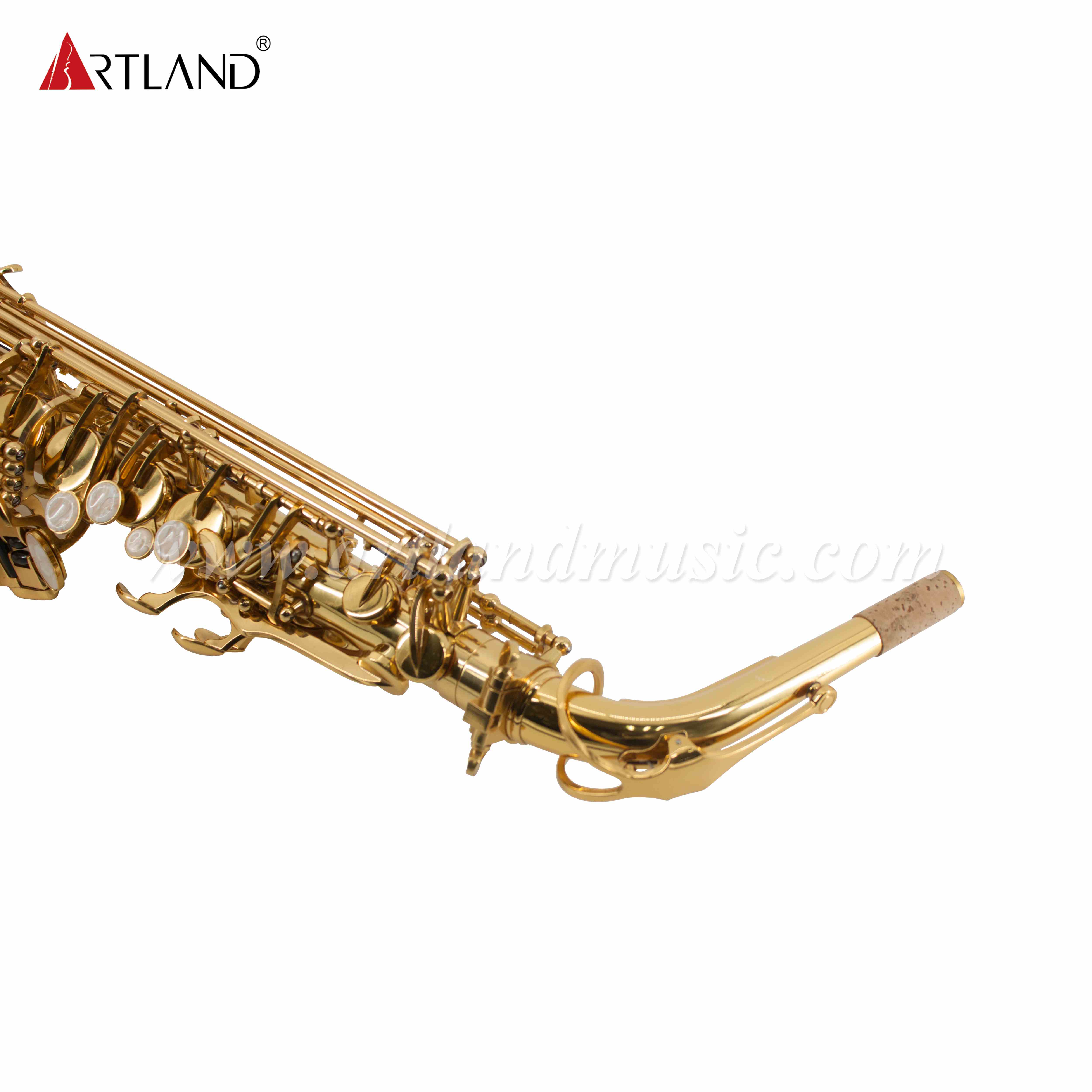 Goldlackiertes Eb-Altsaxophon (AAS6503)