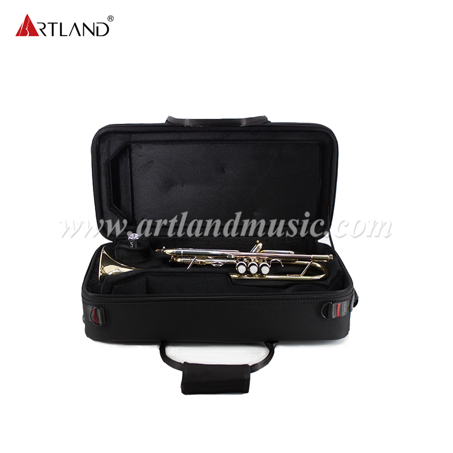 Professionelles Blechblasinstrument, Trompete aus massivem Gelbmessing mit Koffer (ATR8336)