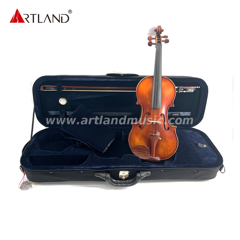 Moderate Violine mit Antik-, Lack- und Rosweood-Beschlag (MV140Q)