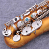 Eb-Altsaxophon, matte Kaffeefarbe (AAS6506) 