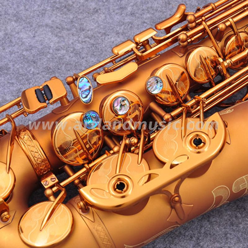 Goldenes Eb-Altsaxophon (AAS6505)