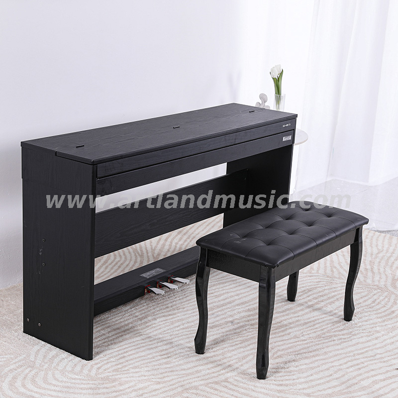 480 Arten Timbre 88 Ke Full Conterweight Keyboard Digital Piano (ATP8813) 