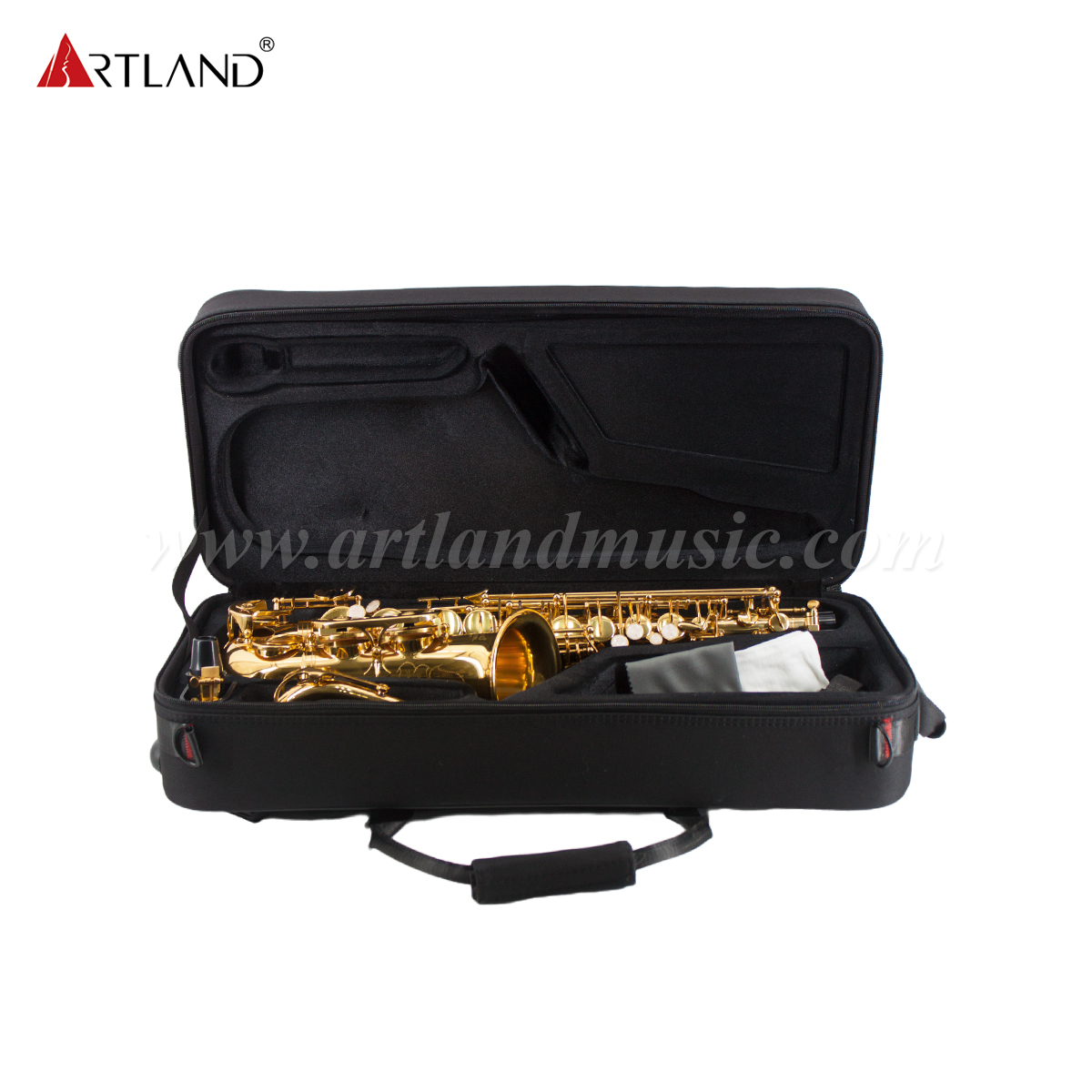 Goldlackiertes Eb-Altsaxophon (AAS6503)