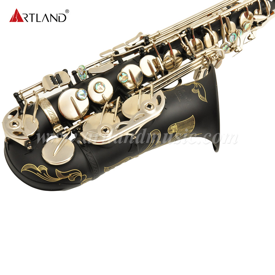 Eb-Altsaxophon Schwarz Matt mit Nickelklappe (AAS6508)