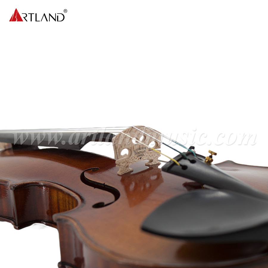 Europäische handgefertigte Violine hoher Qualität (PVE200)