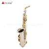 Altsaxophon mit Nickeloberfläche und goldener Klappe (AAS5505NL)