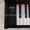 480 Arten Timbre 88 Ke Full Conterweight Keyboard Digital Piano (ATP8813) 