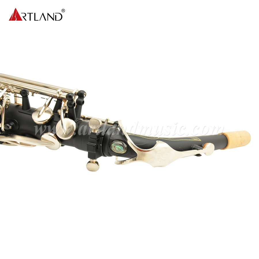 Eb-Altsaxophon Schwarz Matt mit Nickelklappe (AAS6508)