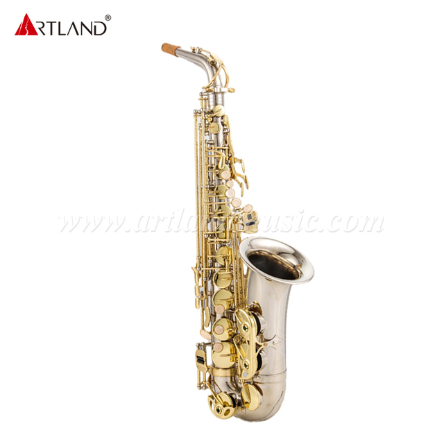 Altsaxophon mit Nickeloberfläche und goldener Klappe (AAS5505NL)