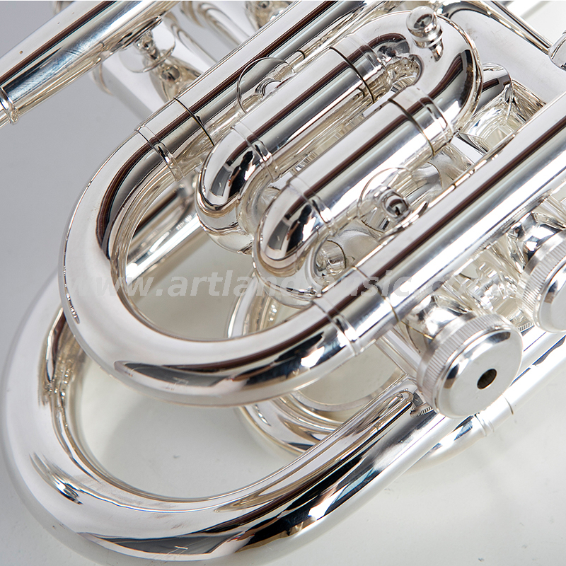 Silberne Taschentrompete AHD4508S