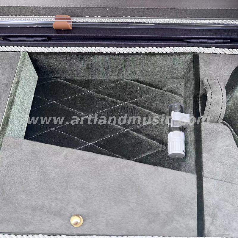 Hochwertiger Deluxe-Hartschalenkoffer für Violine (DSV103)