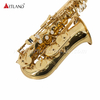 Goldlackiertes Eb-Altsaxophon (AAS6503)