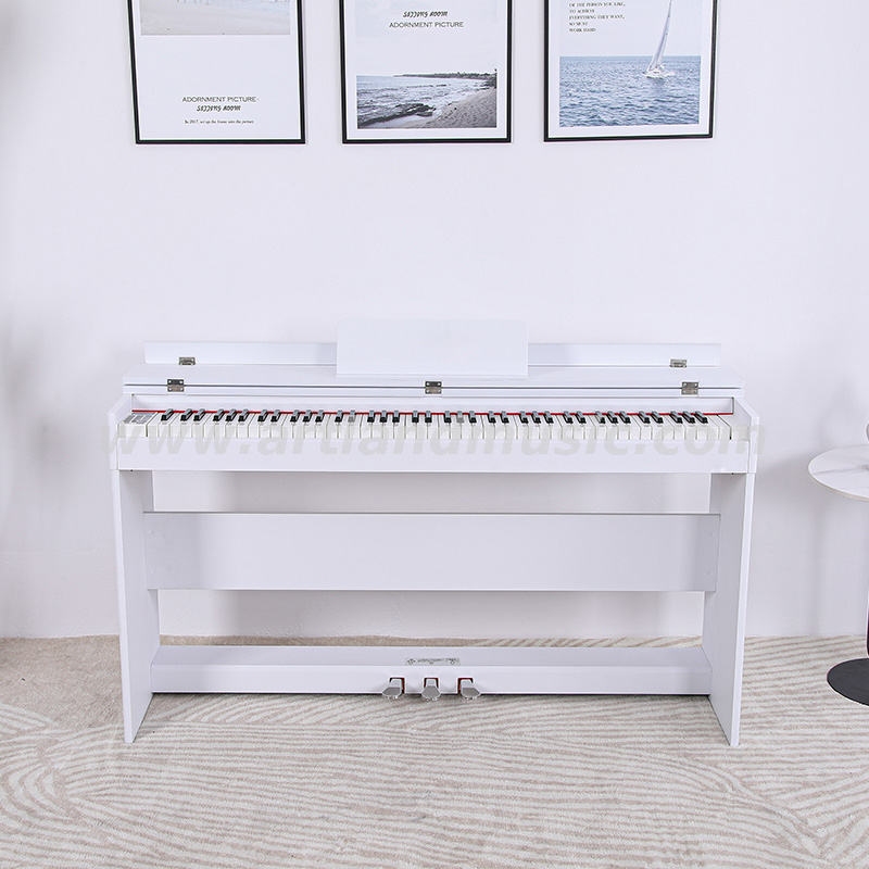 480 Arten Timbre 88 Ke Full Conterweight Keyboard Digital Piano (ATP8813) 