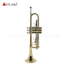 Professionelles Blechblasinstrument, Trompete aus massivem Gelbmessing mit Koffer (ATR8336)