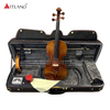 Guarneri Violine Solo-Violine, hochwertiges antikes Modell-Violine (PV60E)