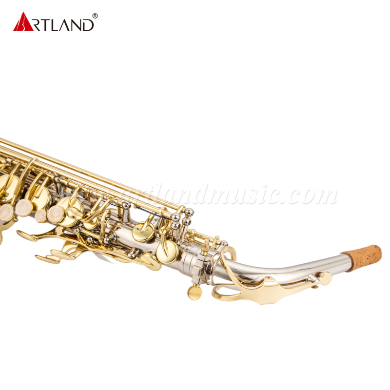 Altsaxophon mit Nickeloberfläche und goldener Klappe (AAS5505NL)