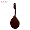 Mandoline aus Sperrholz mit Fichtendecke (AM-A10)