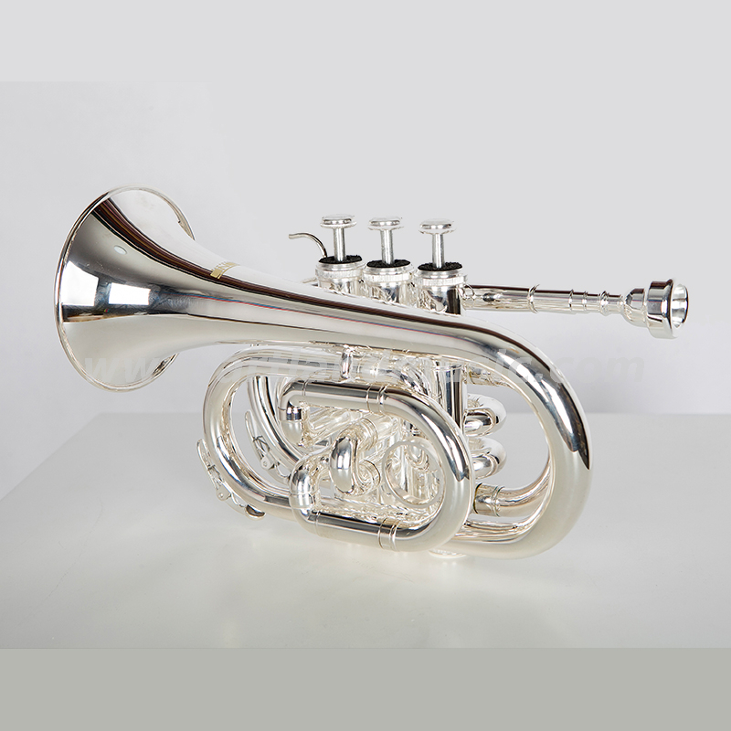Silberne Taschentrompete AHD4508S