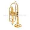 Glod Lackkornett ACR8356G