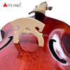6 Saiten Viola Da Gamba (GAM550)
