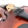 Schöne Flame-Moderate-Violine mit Handlackierung und fortschrittlicher Handwerkskunst (VO150)