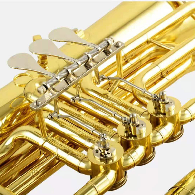 Goldlackierte Tuba-Tonart bB mit Gehäuse aus Messing-Stimmzug (ATTB300)