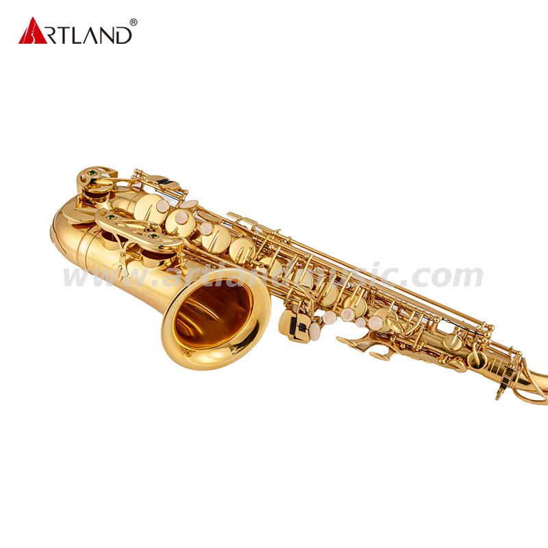 Goldlack-Saxophon für Anfänger (AAS3505G)