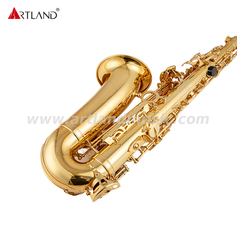 Goldlack-Saxophon für Anfänger (AAS3505G)