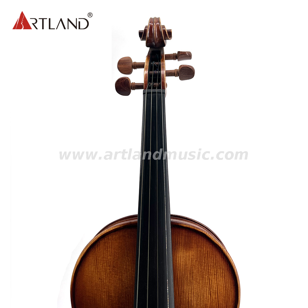 Moderate Violine mit Antik-, Lack- und Rosweood-Beschlag (MV140Q)