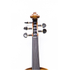 5-saitige Violine mit einteiligem Ahornboden (AVA1005S)
