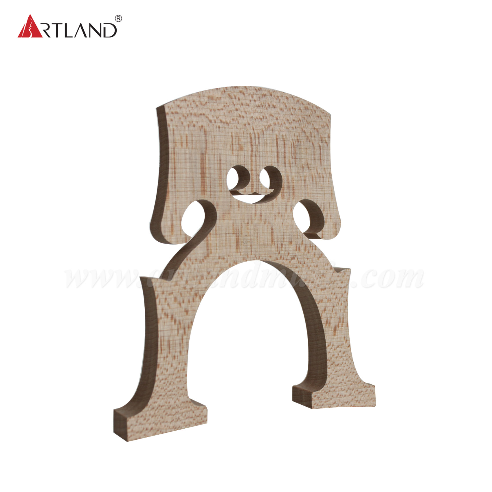Stege Cello Belgisch B (102CT)