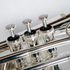 Silberne Taschentrompete AHD4508S