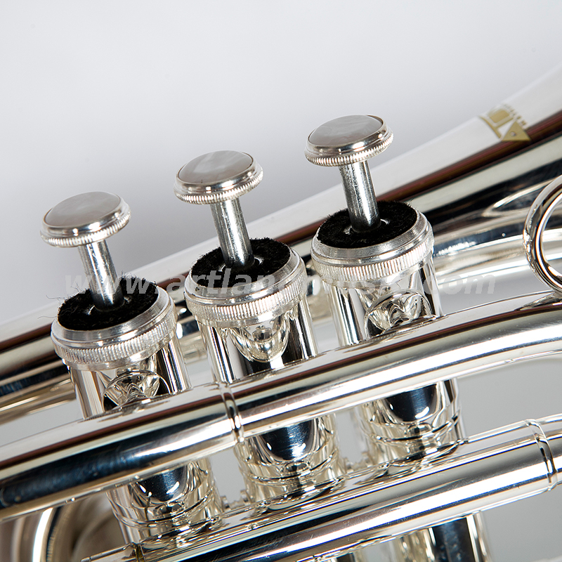 Silberne Taschentrompete AHD4508S