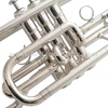 Glod Lackkornett ACR8356G