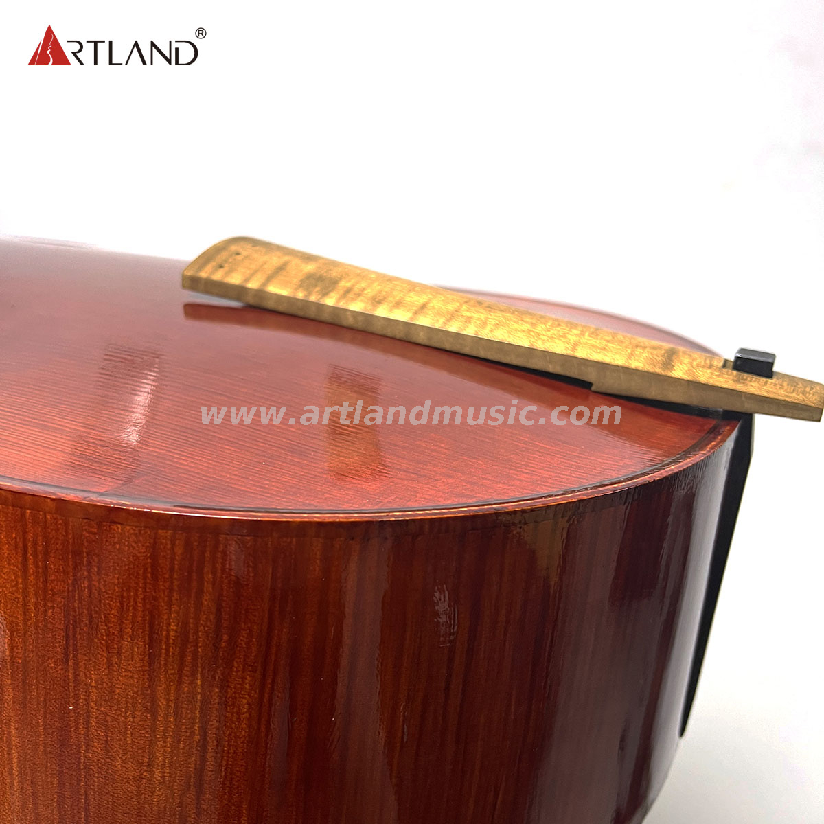 6 Saiten Viola Da Gamba (GAM550)