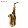 Goldlackiertes Eb-Altsaxophon (AAS6503)