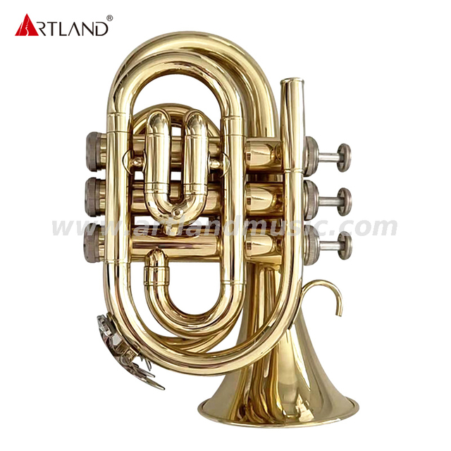 Goldlackierte Taschentrompeten, Einstiegsmodell, Tonart B (AHD3505G)
