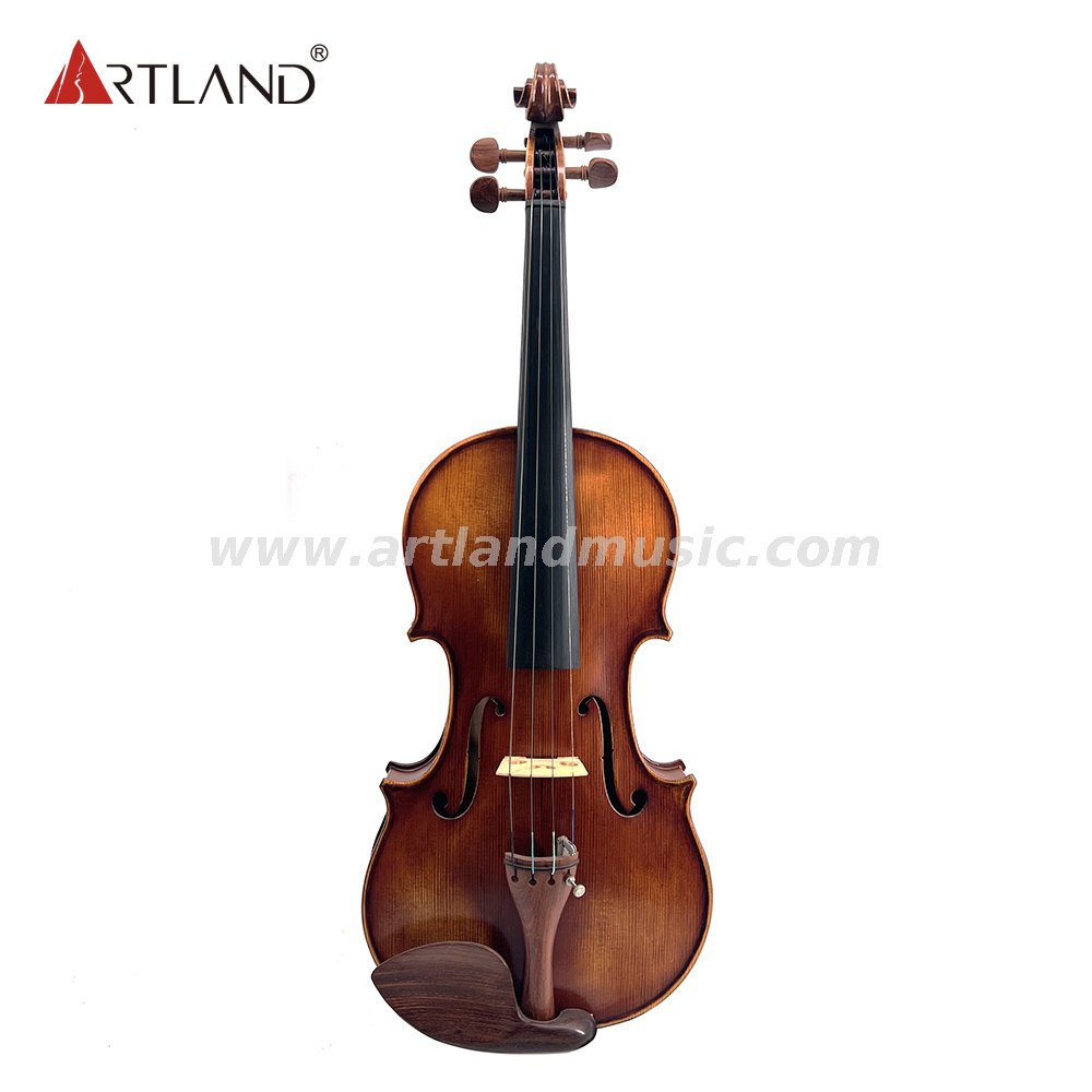 Moderate Violine mit Antik-, Lack- und Rosweood-Beschlag (MV140Q)
