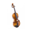 5-saitige Violine mit einteiligem Ahornboden (AVA1005S)