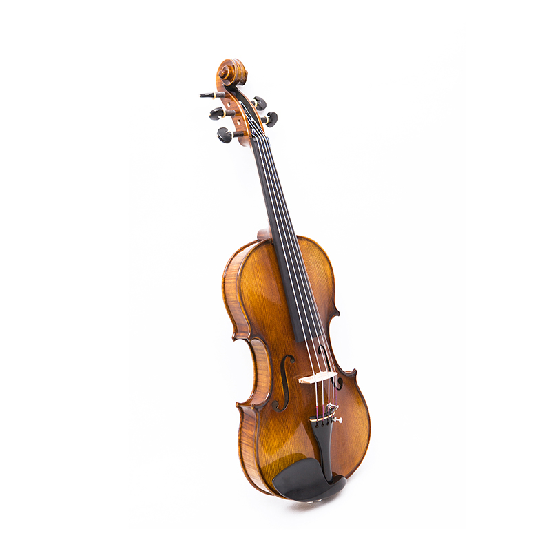 5-saitige Violine mit einteiligem Ahornboden (AVA1005S)