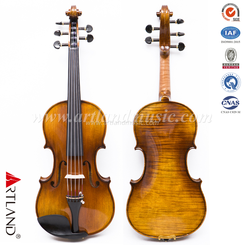 5-saitige Violine mit einteiligem Ahornboden (AVA1005S)